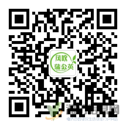 風(fēng)吹蒲公英5.5元休閑食品入駐濰坊誠招個縣代理加盟