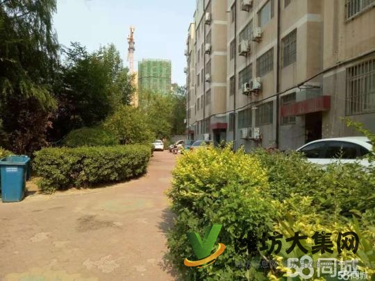 三室兩廳一衛，地下室，停車位。公攤面積小