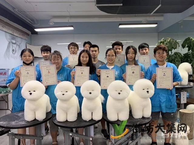 諸城專業(yè)寵物美容學(xué)校? 一諾寵物美容培訓(xùn)