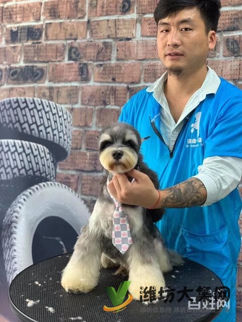 諸城專業(yè)寵物美容學(xué)校? 一諾寵物美容培訓(xùn)