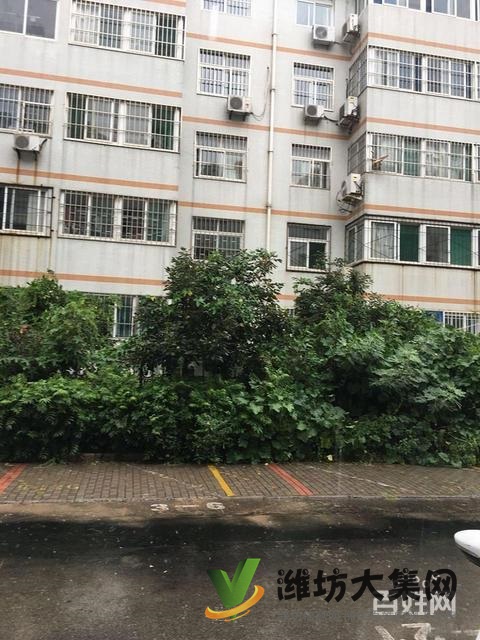 東風街西園小學近多層3樓135平H戶型精裝修供暖出