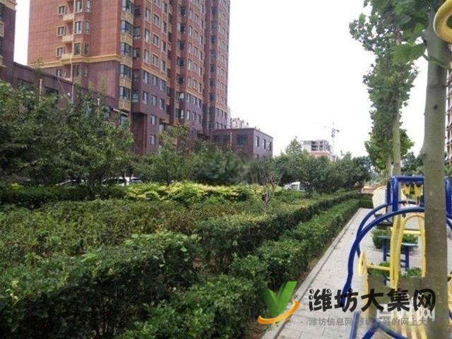 直降5萬 三天必賣 五中近 金都北苑 婚房精裝三室110平