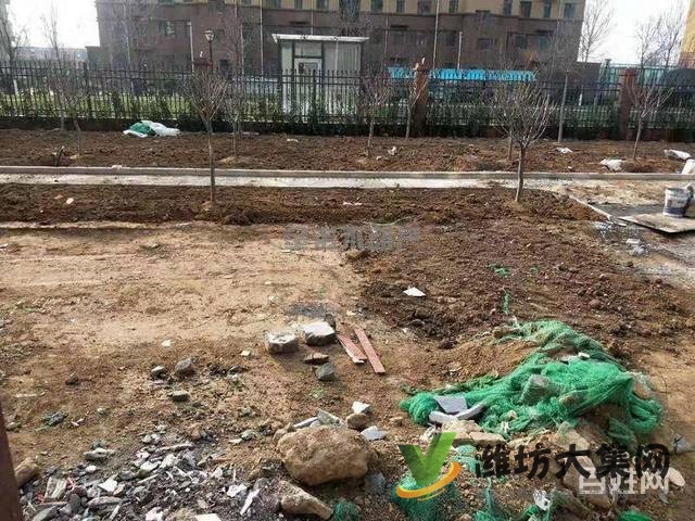 東城玉苑稀缺小高一樓帶院大四室精裝交房更名貸款130萬