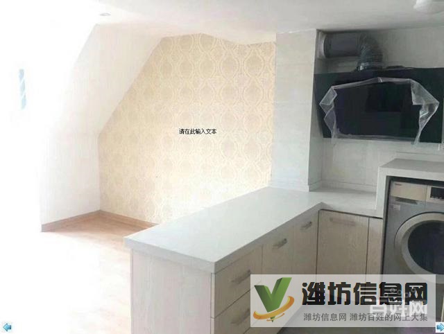 廣豐文化特藝城 洋房復式 讓您生二胎也不用擔心不夠