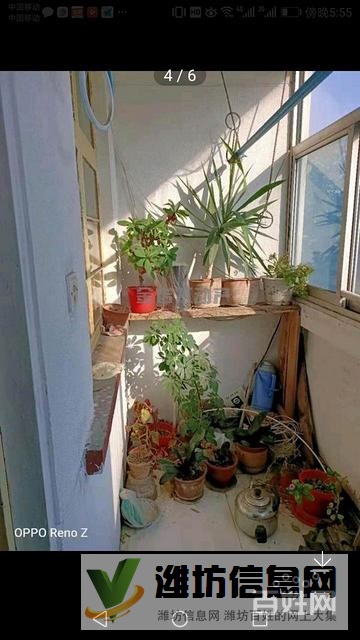 熱電廠家屬院低樓層72平精品兩室?guī)Σ厥?4.5萬養(yǎng)老首選